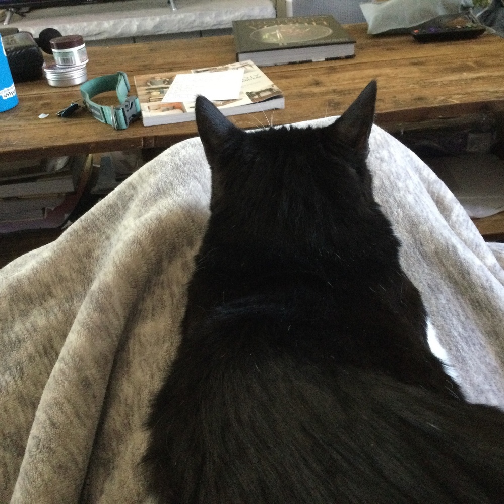 Meet your Posher, Zoe upton